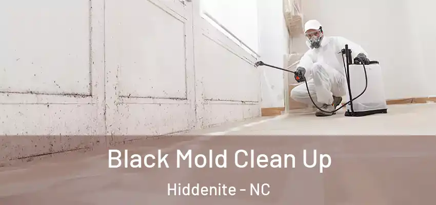  Black Mold Clean Up Hiddenite - NC