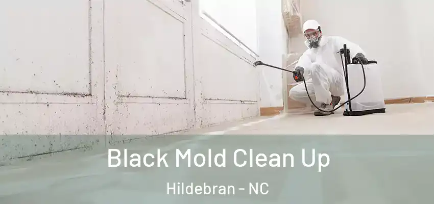 Black Mold Clean Up Hildebran - NC