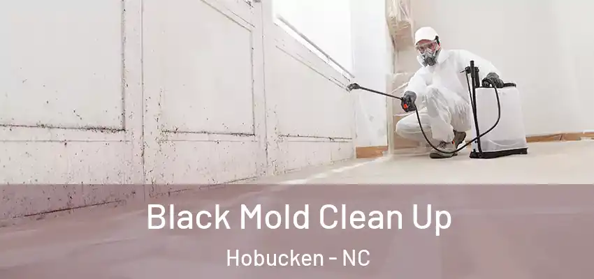 Black Mold Clean Up Hobucken - NC