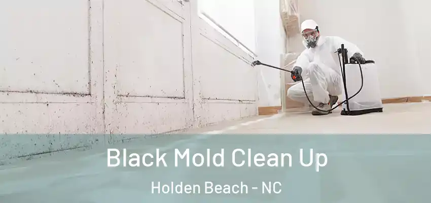Black Mold Clean Up Holden Beach - NC