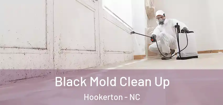Black Mold Clean Up Hookerton - NC