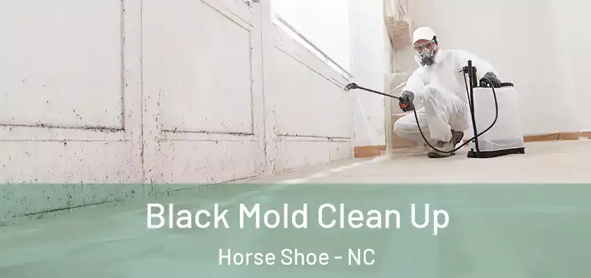 Black Mold Clean Up Horse Shoe - NC