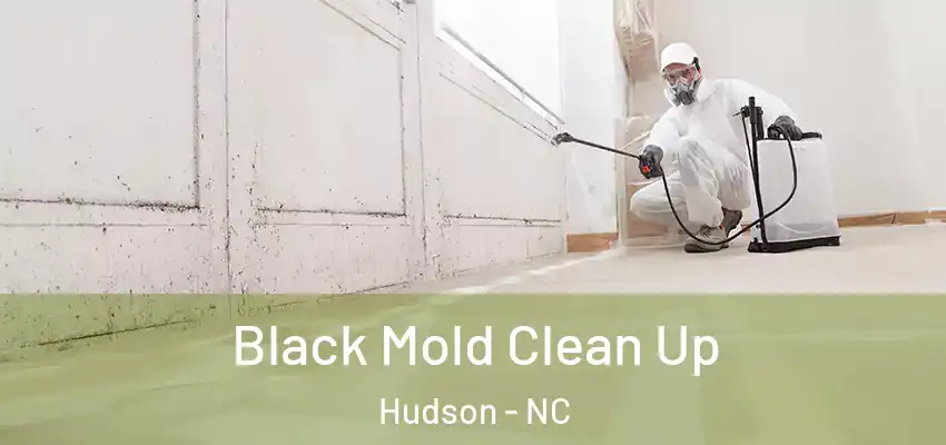  Black Mold Clean Up Hudson - NC