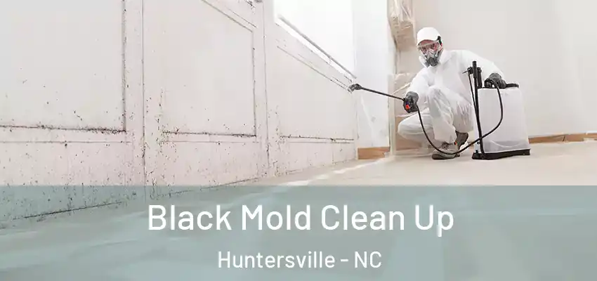  Black Mold Clean Up Huntersville - NC