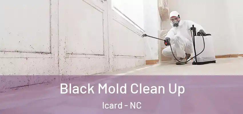  Black Mold Clean Up Icard - NC