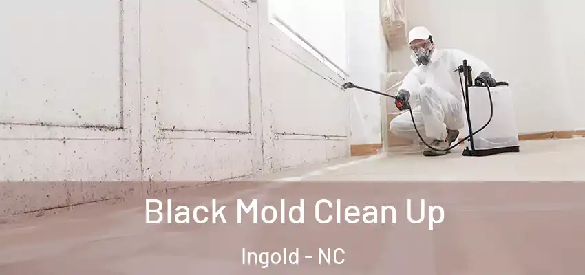  Black Mold Clean Up Ingold - NC