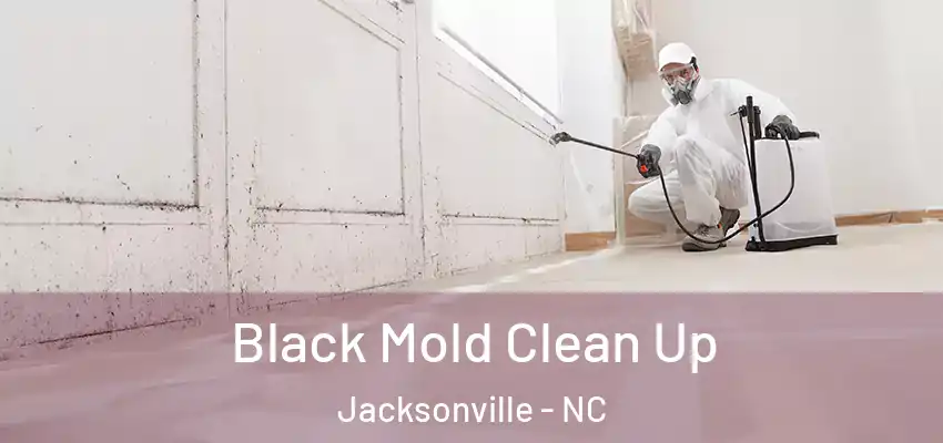  Black Mold Clean Up Jacksonville - NC
