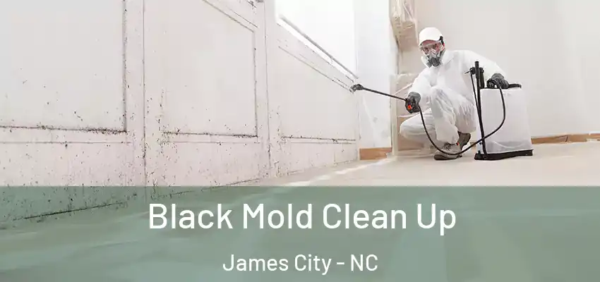 Black Mold Clean Up James City - NC