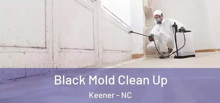 Black Mold Clean Up Keener - NC