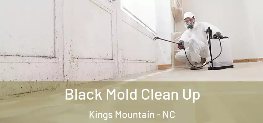  Black Mold Clean Up Kings Mountain - NC
