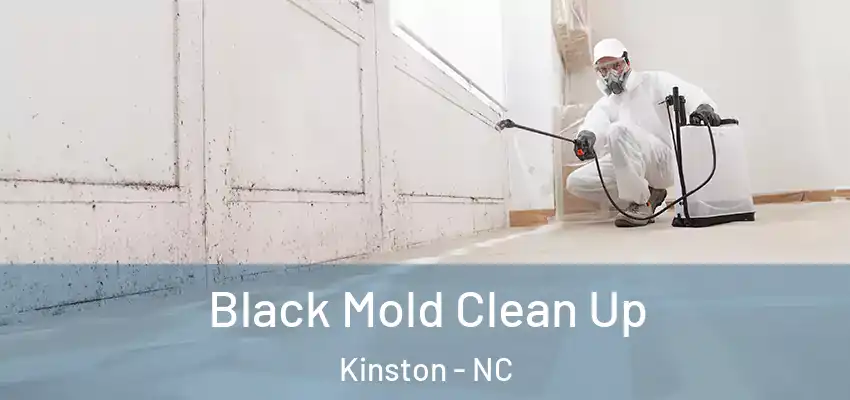  Black Mold Clean Up Kinston - NC