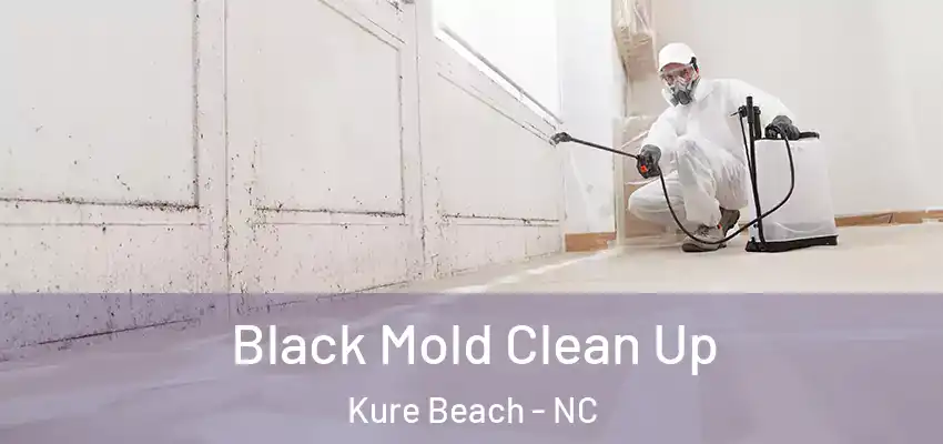  Black Mold Clean Up Kure Beach - NC