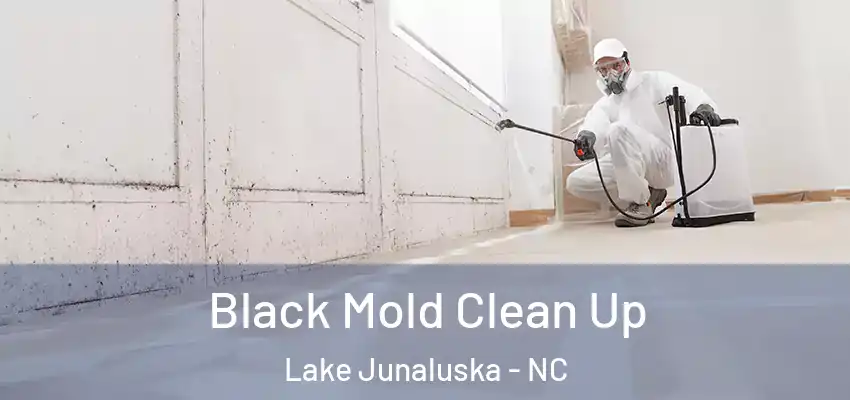 Black Mold Clean Up Lake Junaluska - NC