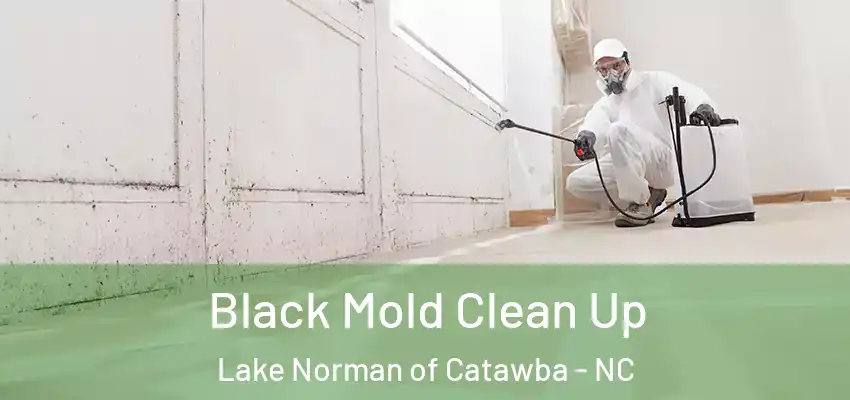  Black Mold Clean Up Lake Norman of Catawba - NC