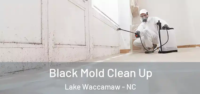  Black Mold Clean Up Lake Waccamaw - NC