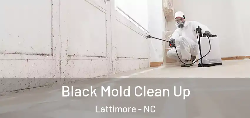 Black Mold Clean Up Lattimore - NC