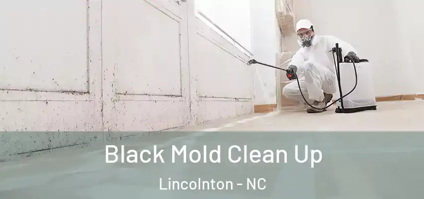 Black Mold Clean Up Lincolnton - NC