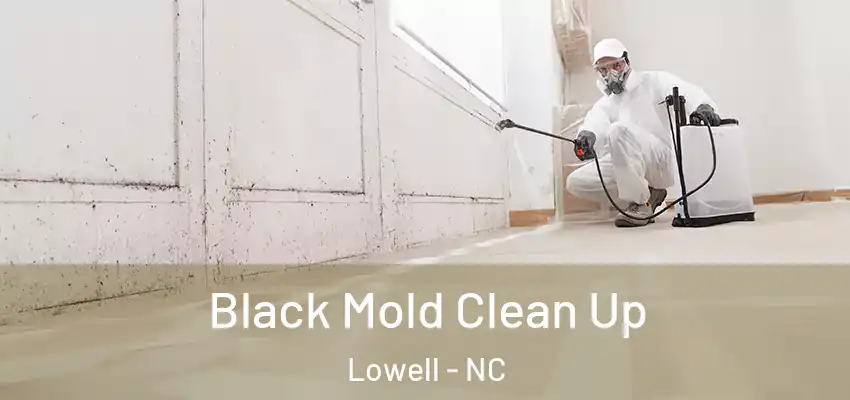 Black Mold Clean Up Lowell - NC