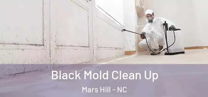  Black Mold Clean Up Mars Hill - NC