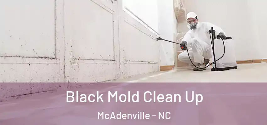  Black Mold Clean Up McAdenville - NC