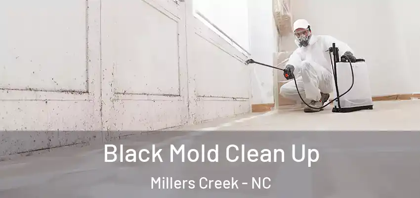  Black Mold Clean Up Millers Creek - NC
