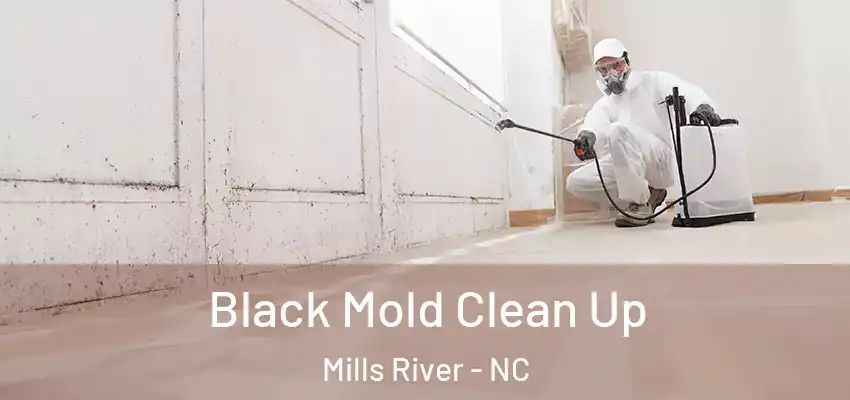  Black Mold Clean Up Mills River - NC