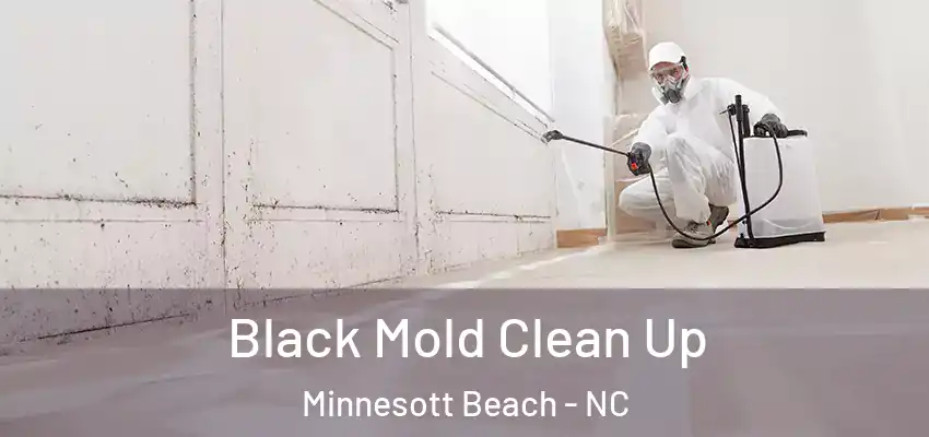  Black Mold Clean Up Minnesott Beach - NC
