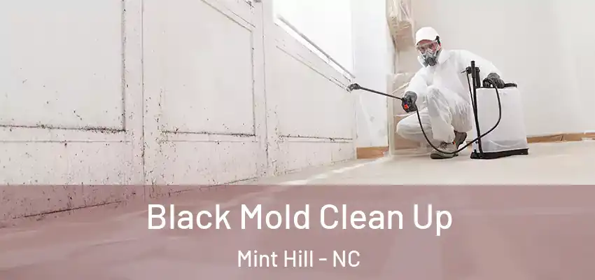 Black Mold Clean Up Mint Hill - NC
