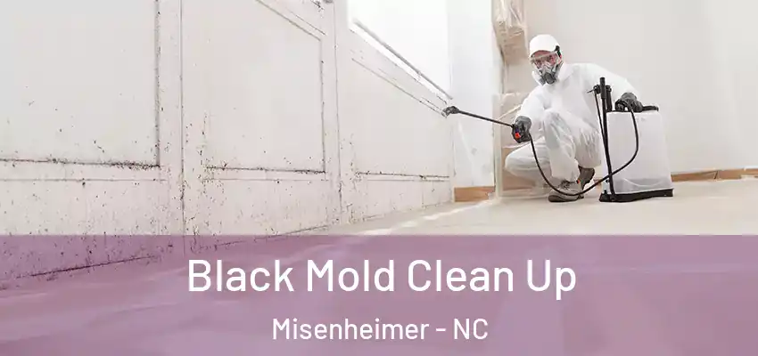  Black Mold Clean Up Misenheimer - NC