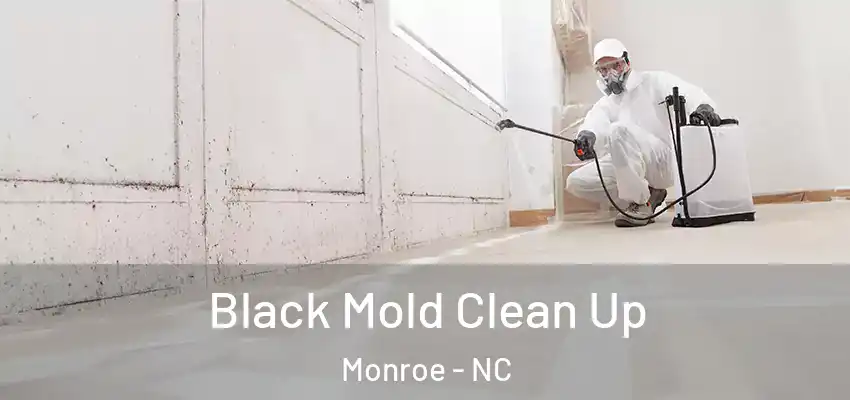  Black Mold Clean Up Monroe - NC