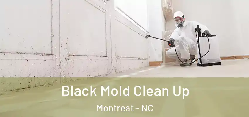  Black Mold Clean Up Montreat - NC