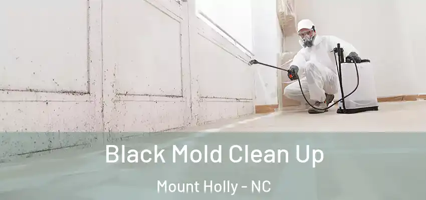 Black Mold Clean Up Mount Holly - NC