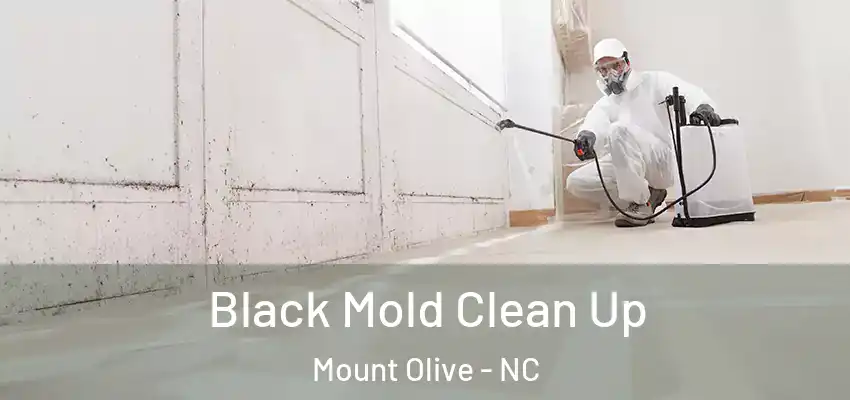  Black Mold Clean Up Mount Olive - NC