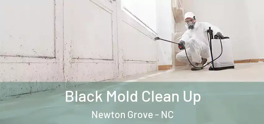  Black Mold Clean Up Newton Grove - NC