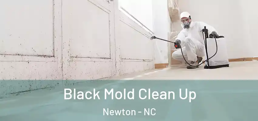 Black Mold Clean Up Newton - NC