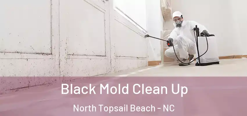  Black Mold Clean Up North Topsail Beach - NC