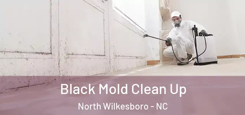  Black Mold Clean Up North Wilkesboro - NC