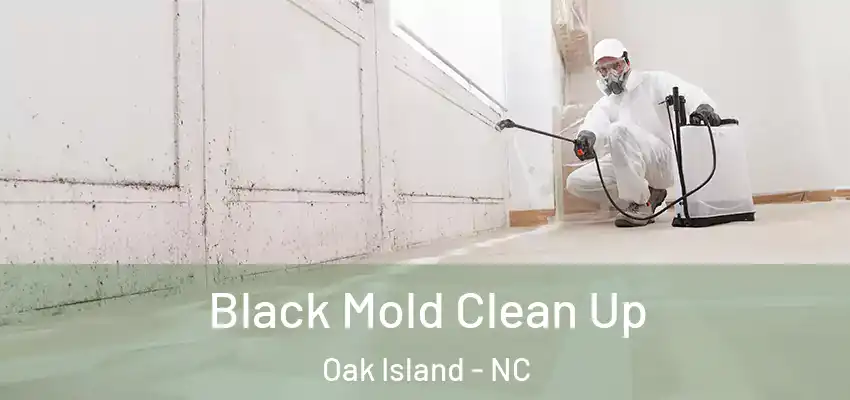  Black Mold Clean Up Oak Island - NC