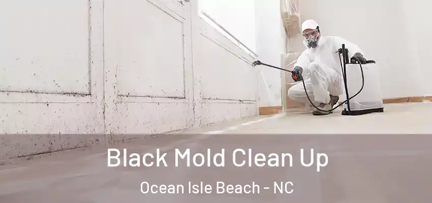  Black Mold Clean Up Ocean Isle Beach - NC