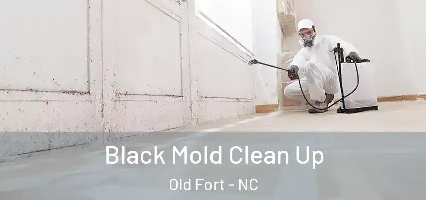  Black Mold Clean Up Old Fort - NC
