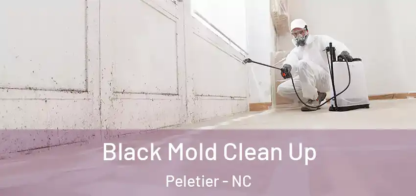  Black Mold Clean Up Peletier - NC