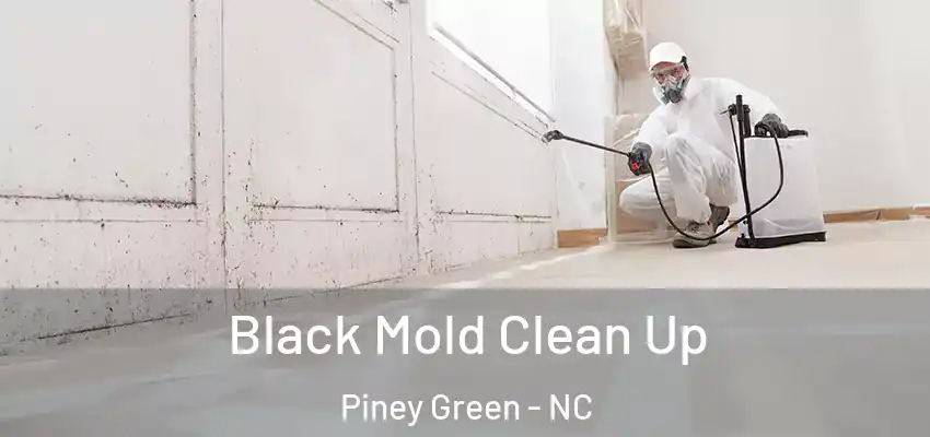  Black Mold Clean Up Piney Green - NC