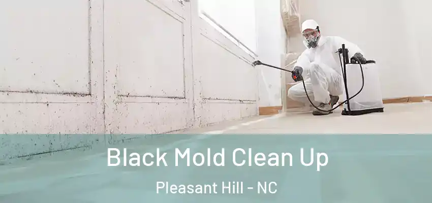  Black Mold Clean Up Pleasant Hill - NC