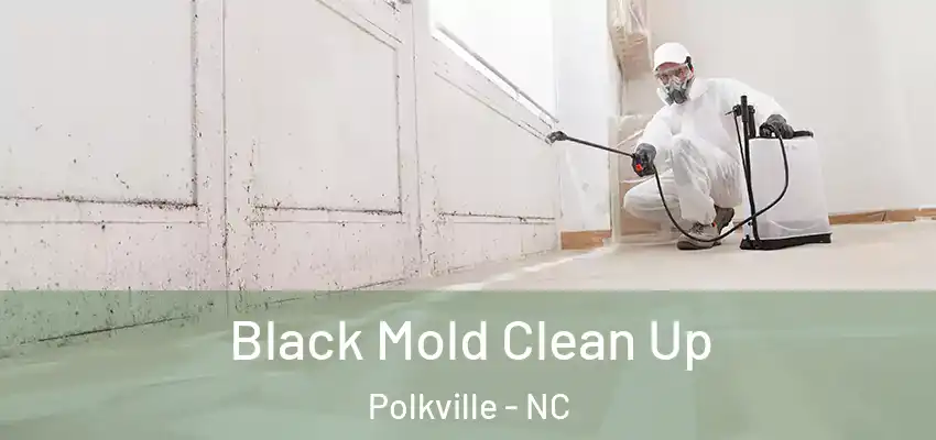  Black Mold Clean Up Polkville - NC