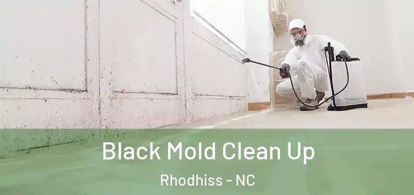  Black Mold Clean Up Rhodhiss - NC