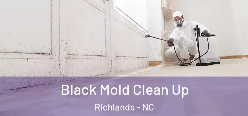  Black Mold Clean Up Richlands - NC