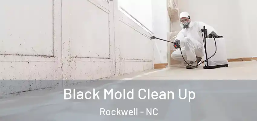 Black Mold Clean Up Rockwell - NC