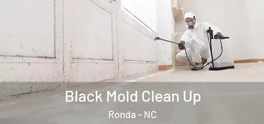  Black Mold Clean Up Ronda - NC
