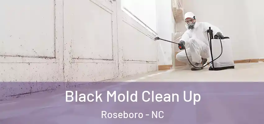 Black Mold Clean Up Roseboro - NC