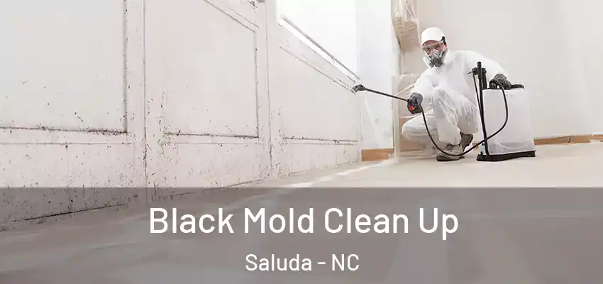  Black Mold Clean Up Saluda - NC